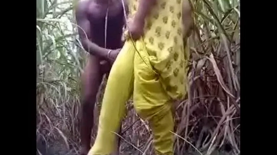 Village girl fucked by Kannada sugarcane in HD
